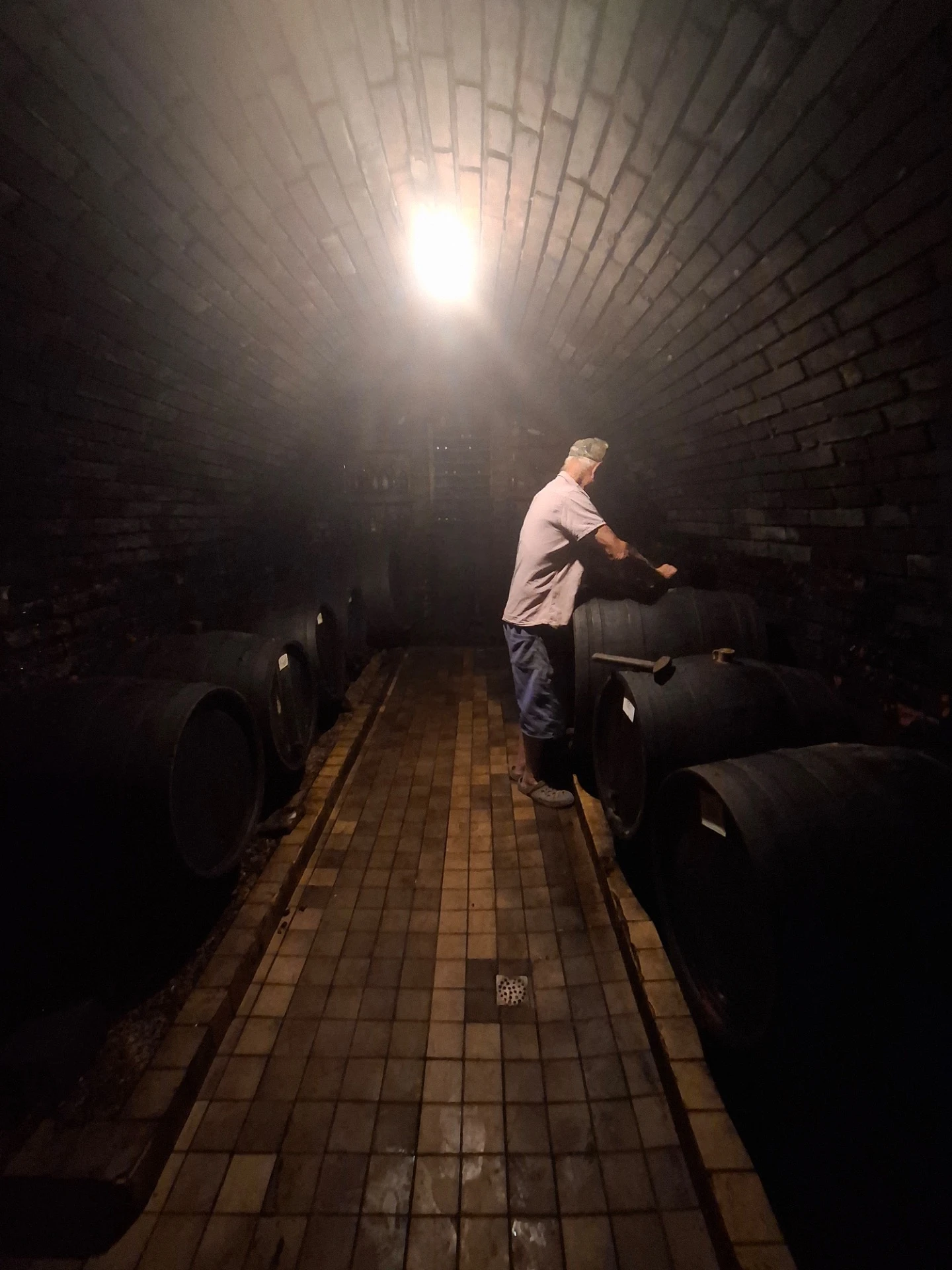 Vinárska pivnica